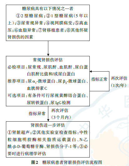 最新《糖尿病腎臟病早期預測與診斷專家共識》發布