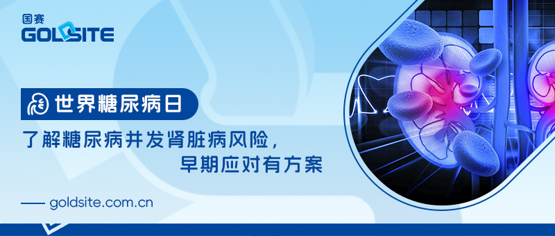 世界糖尿病日：了解糖尿病并發(fā)腎臟病風險，早期應對有方案